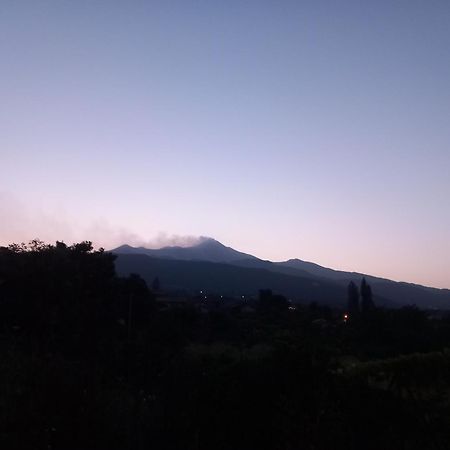 Etna Green House Villa Zafferana Etnea Exteriör bild