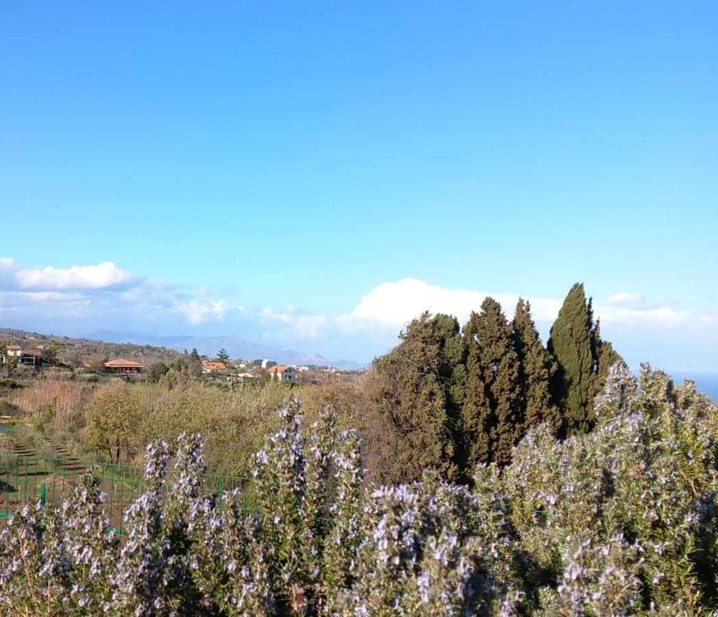 Etna Green House Villa Zafferana Etnea Exteriör bild