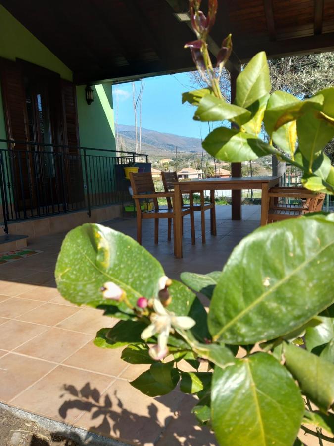 Etna Green House Villa Zafferana Etnea Exteriör bild