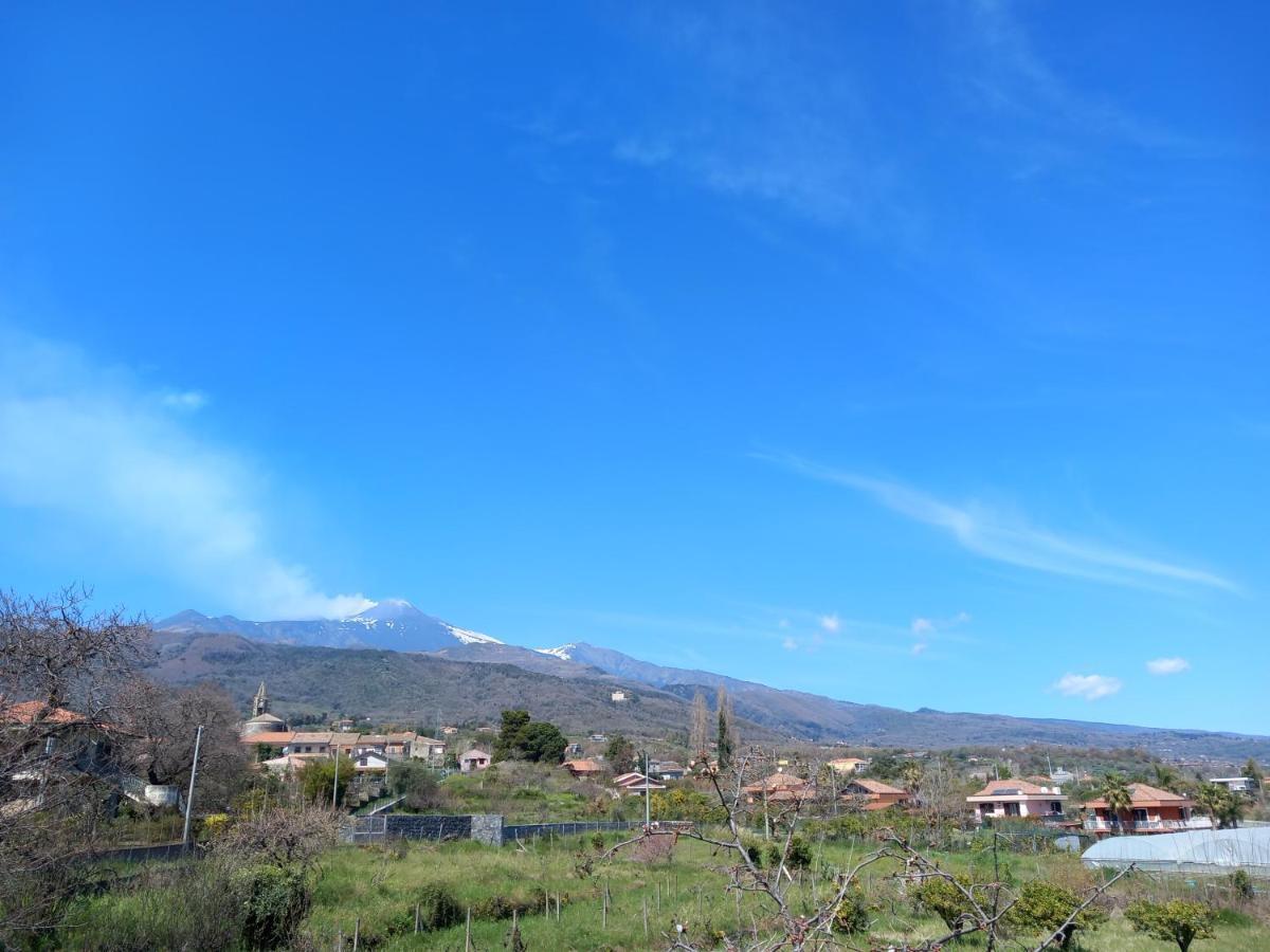 Etna Green House Villa Zafferana Etnea Exteriör bild