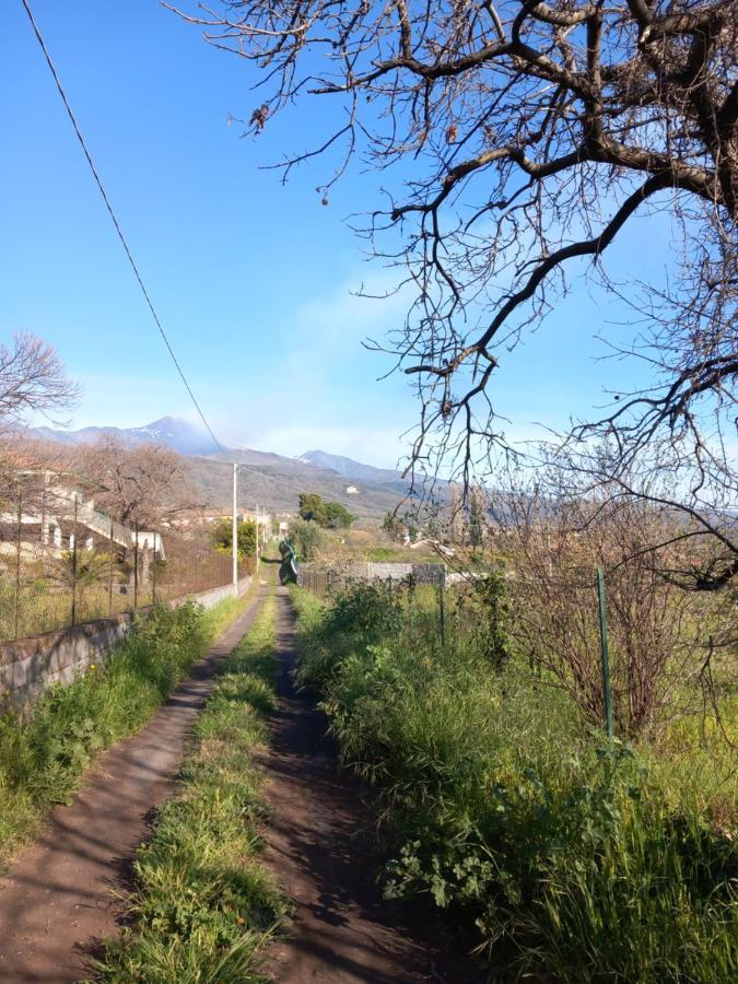 Etna Green House Villa Zafferana Etnea Exteriör bild