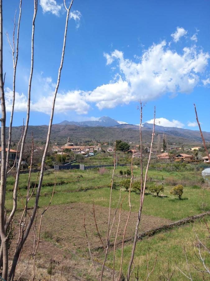 Etna Green House Villa Zafferana Etnea Exteriör bild