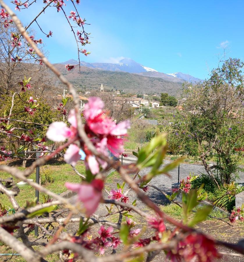 Etna Green House Villa Zafferana Etnea Exteriör bild