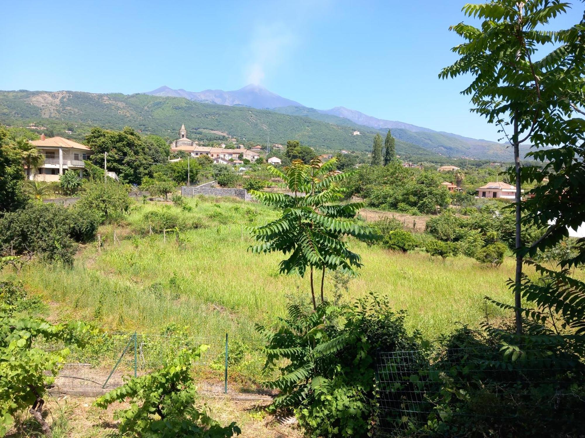 Etna Green House Villa Zafferana Etnea Exteriör bild